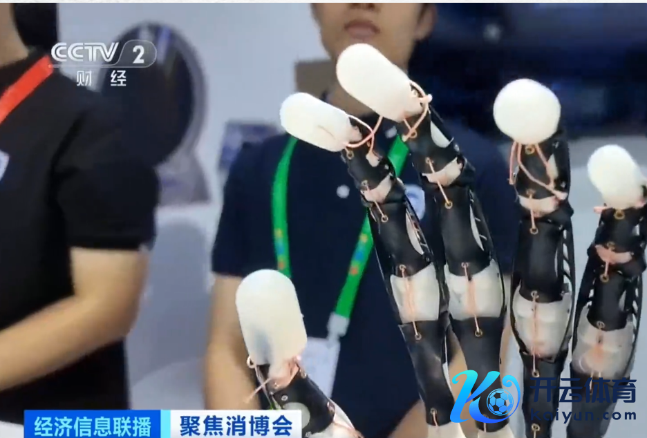 图片开头：CCTV2经济信息联播视频截图