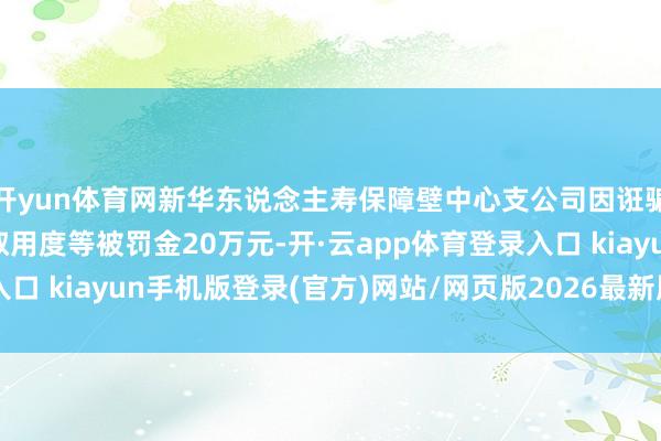 开yun体育网新华东说念主寿保障壁中心支公司因诳骗保障代理东说念主套取用度等被罚金20万元-开·云app体育登录入口 kiayun手机版登录(官方)网站/网页版2026最新版本V3.6.8.1